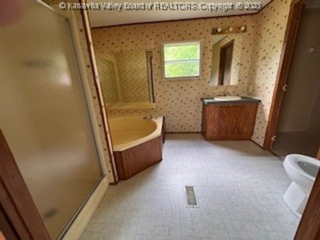 161 Cow Lane, Arnoldsburg, WV 25334