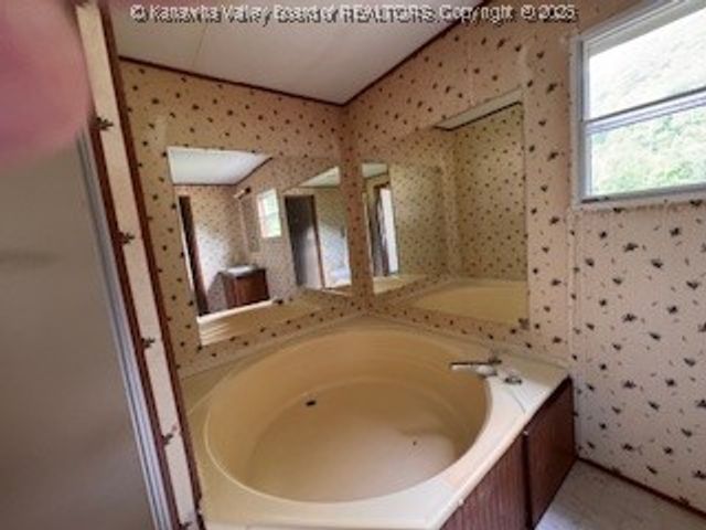 161 Cow Lane, Arnoldsburg, WV 25334