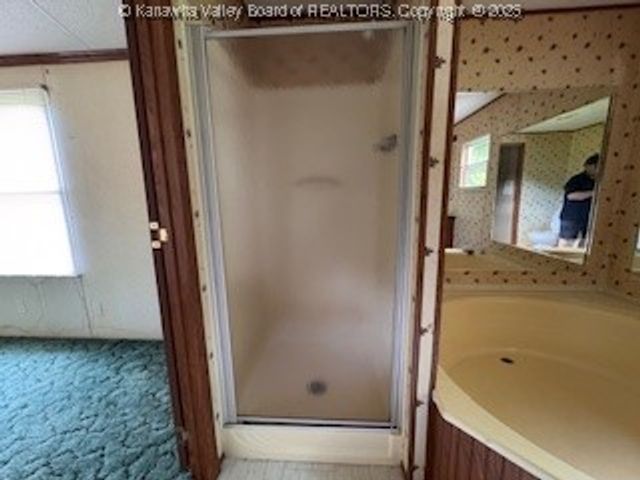 161 Cow Lane, Arnoldsburg, WV 25334