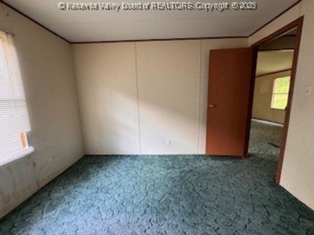 161 Cow Lane, Arnoldsburg, WV 25334