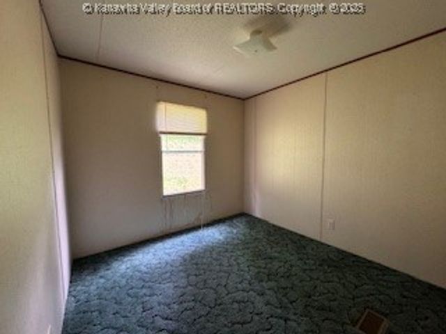 161 Cow Lane, Arnoldsburg, WV 25334