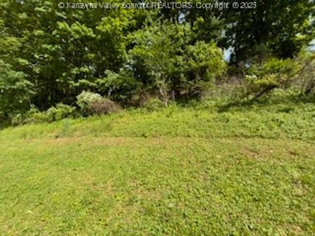 161 Cow Lane, Arnoldsburg, WV 25334