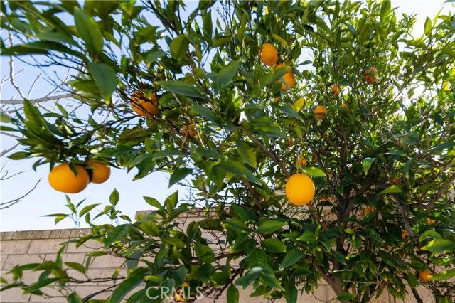 32375 Safflower, Winchester, CA 92596