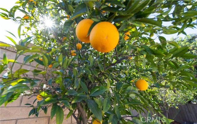 32375 Safflower, Winchester, CA 92596