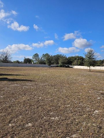 25118 LAMBRUSCO LOOP, Lutz, FL 33559