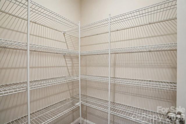 16038 Red Buckeye Lane, Huntersville, NC 28078