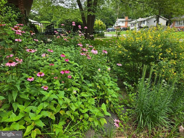 2410 DREXEL ST, Vienna, VA 22180