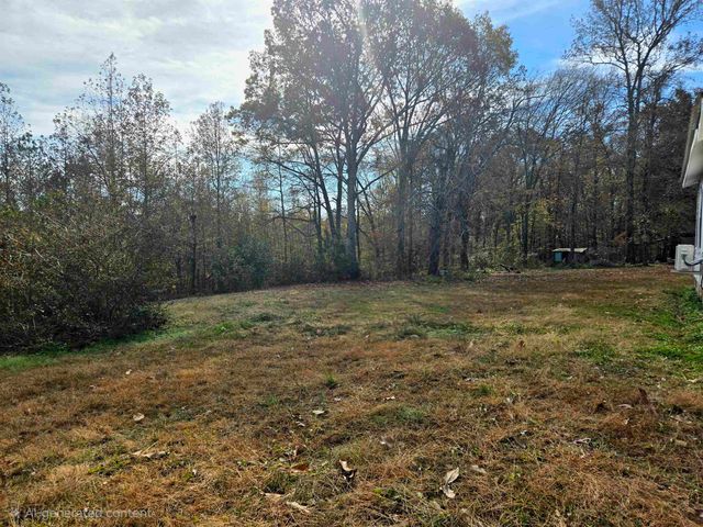 1907 ELMER COX RD, Bethel Springs, TN 38315