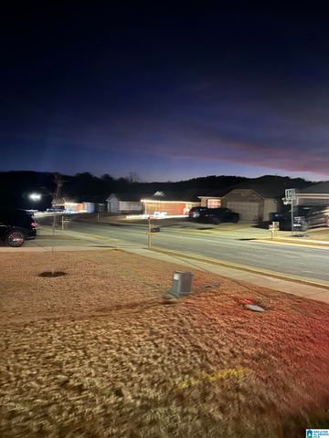 25 CEDAR COURT, Pell City, AL 35125