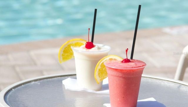 1610 SANDHILL COURT, Palm Harbor, FL 34684