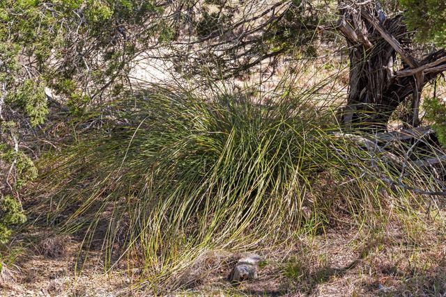 1725 Cripple Creek STA, Dripping Springs, TX 78620