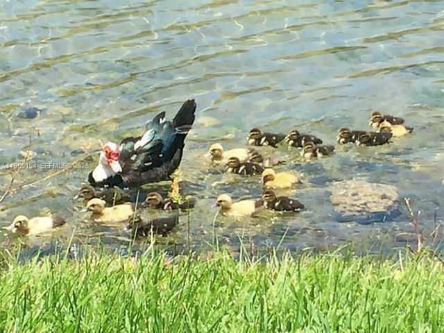 11280 SW 238th St 11280, Homestead, FL 33032