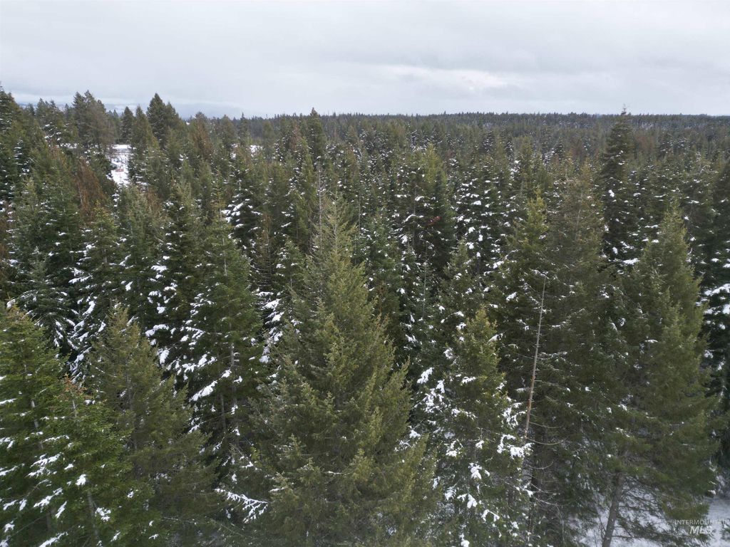 80 Bugling Elk Lane, Weippe, ID 83553 photo 11