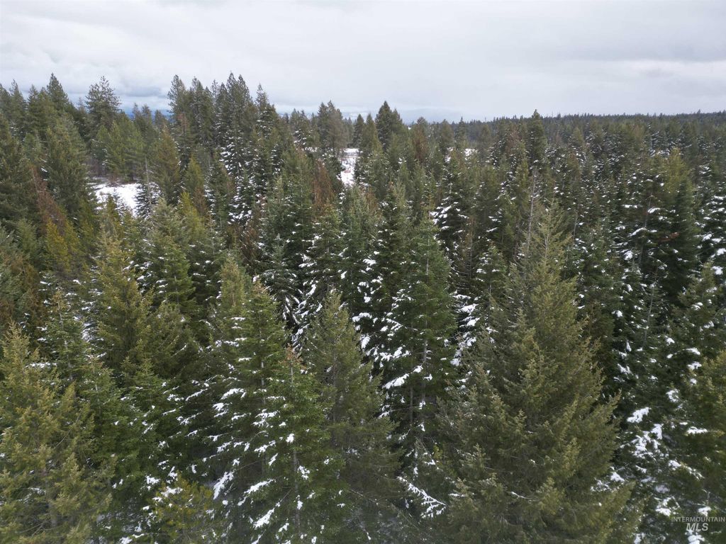 80 Bugling Elk Lane, Weippe, ID 83553 photo 12