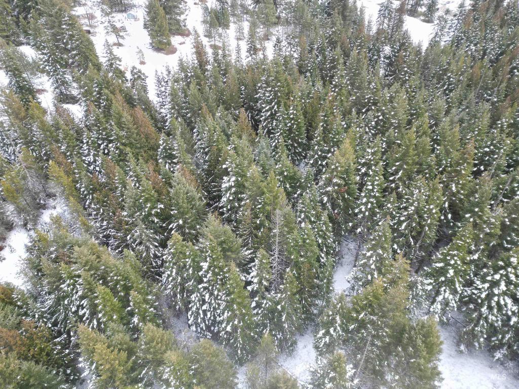 80 Bugling Elk Lane, Weippe, ID 83553 photo 13