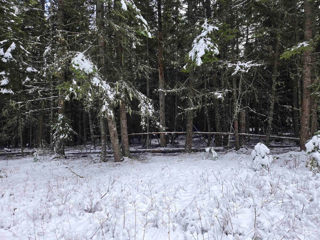 80 Bugling Elk Lane, Weippe, ID 83553 photo 16