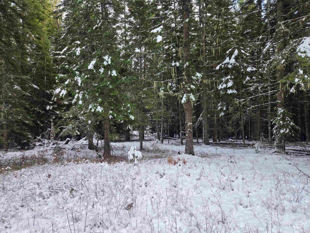 80 Bugling Elk Lane, Weippe, ID 83553 photo 17