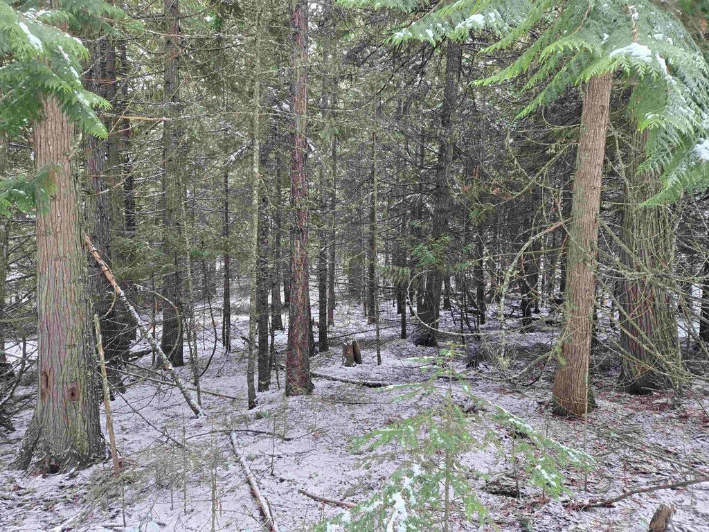 80 Bugling Elk Lane, Weippe, ID 83553 photo 20