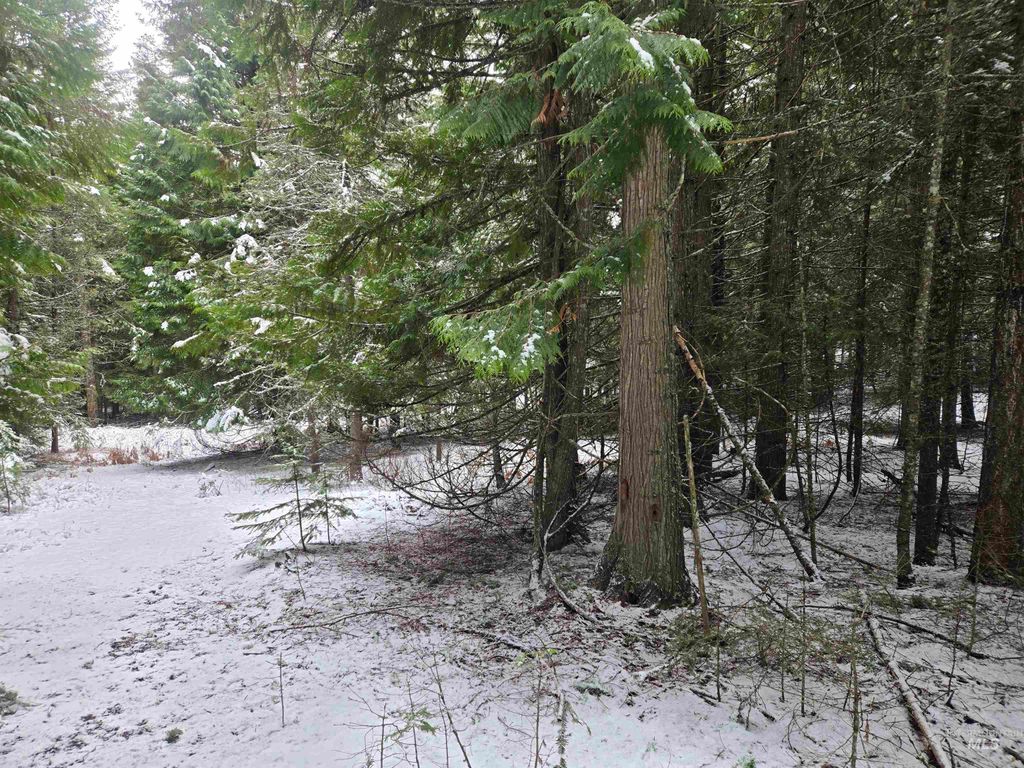 80 Bugling Elk Lane, Weippe, ID 83553 photo 21