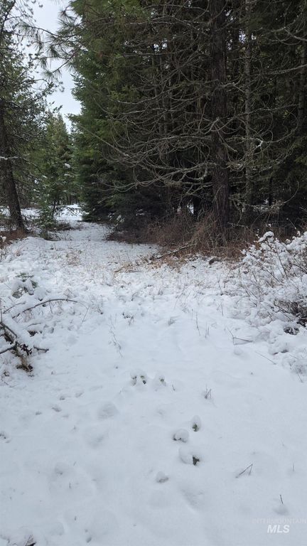80 Bugling Elk Lane, Weippe, ID 83553 photo 22