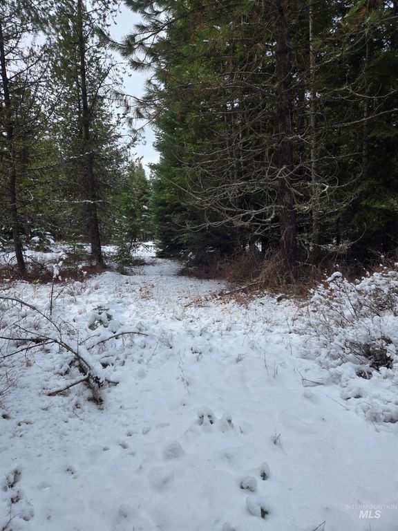 80 Bugling Elk Lane, Weippe, ID 83553 photo 23