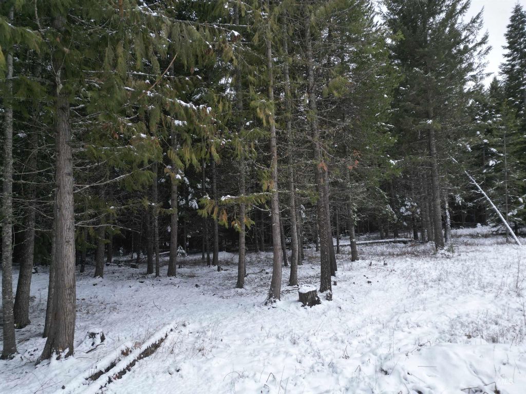 80 Bugling Elk Lane, Weippe, ID 83553 photo 4