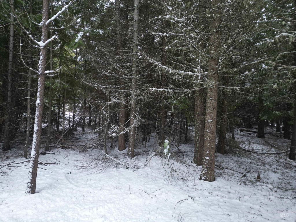 80 Bugling Elk Lane, Weippe, ID 83553 photo 5