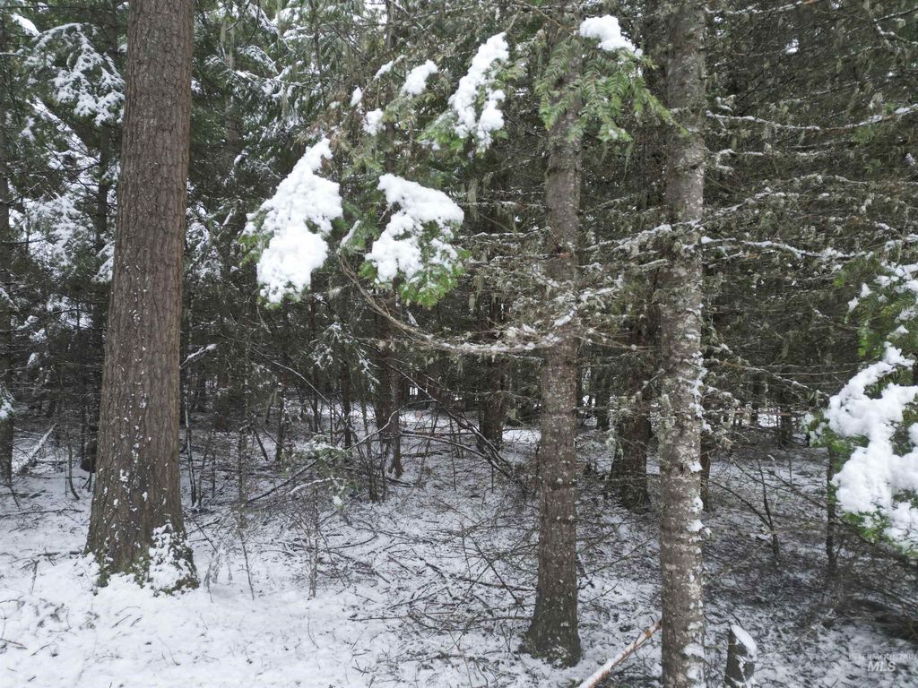 80 Bugling Elk Lane, Weippe, ID 83553 photo 7