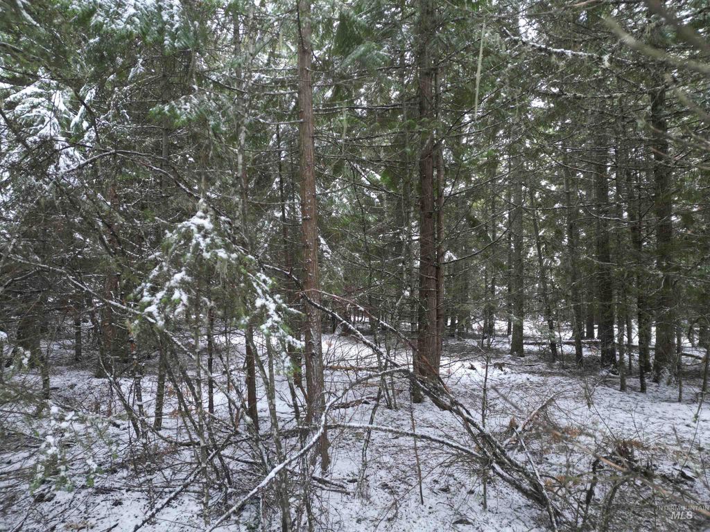 80 Bugling Elk Lane, Weippe, ID 83553 photo 8