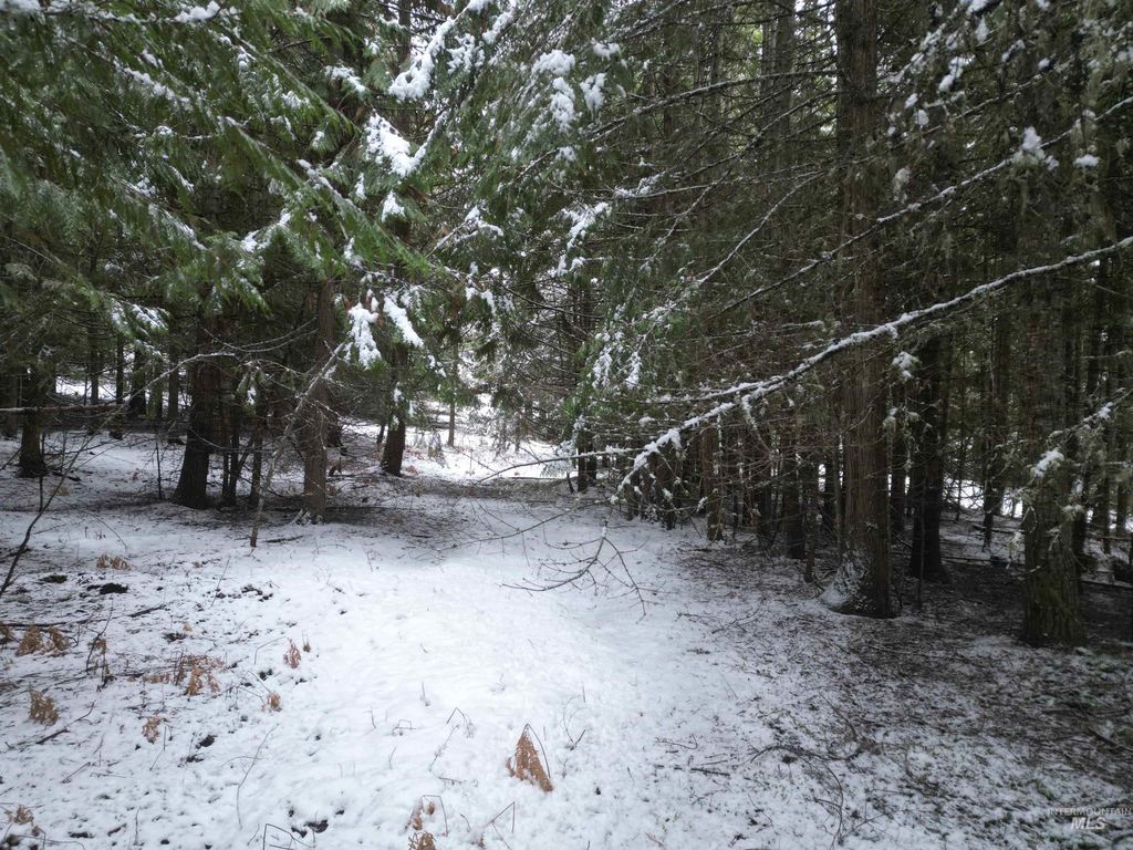 80 Bugling Elk Lane, Weippe, ID 83553 photo 9