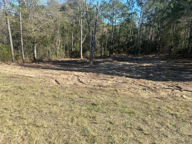 Lot 35 Ten Lakes Drive, Defuniak Springs, FL 32433