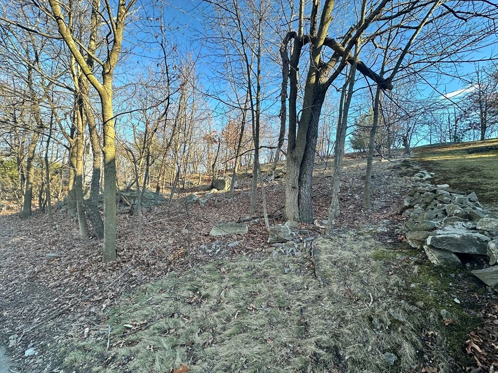 0 Vfw Parkway, Boston, MA 02132