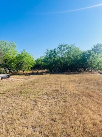 1615 Nolana Road, Donna, TX 78537