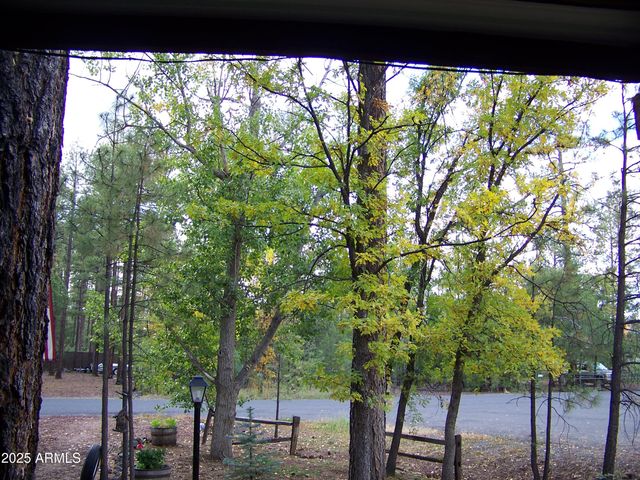 1167 E WHITE TAIL --, Pinetop, AZ 85935