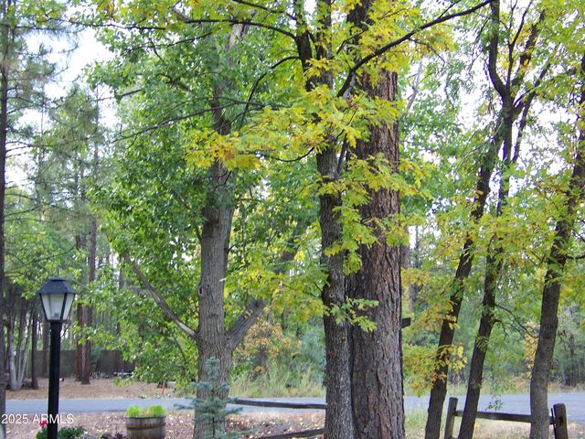 1167 E WHITE TAIL --, Pinetop, AZ 85935