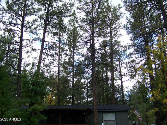 1167 E WHITE TAIL --, Pinetop, AZ 85935
