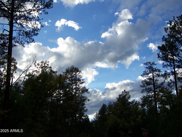 1167 E WHITE TAIL --, Pinetop, AZ 85935