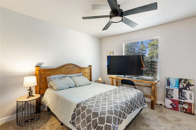 118 E Chester Avenue, Woodland Park, CO 80863