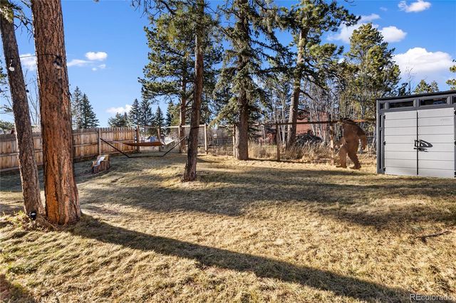 118 E Chester Avenue, Woodland Park, CO 80863