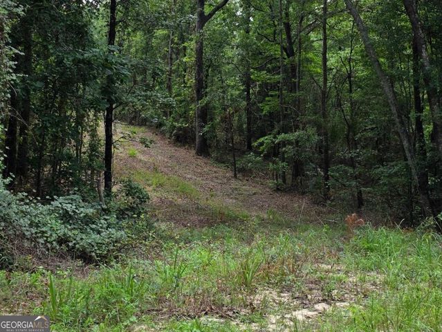 456 Horseshoe Circle, Macon, GA 31217