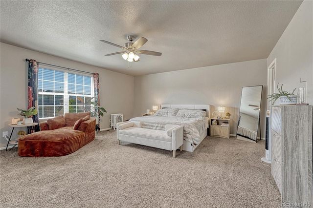 6044 Point Rider Circle, Castle Rock, CO 80104