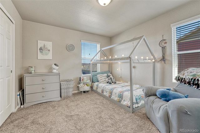 6044 Point Rider Circle, Castle Rock, CO 80104