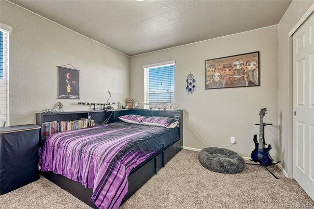 6044 Point Rider Circle, Castle Rock, CO 80104