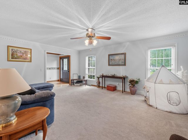 343 Pinewood Drive, Santee, SC 29142