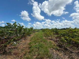 15805 SW 205 Avenue, Miami, FL 33187