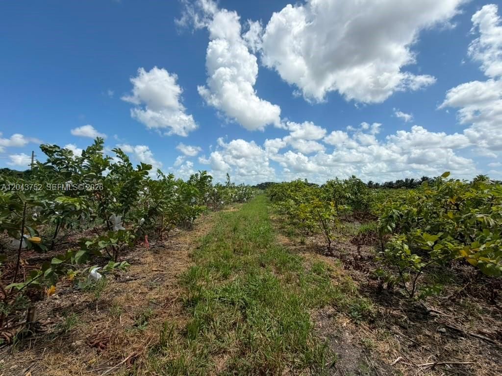 15805 SW 205 Avenue, Miami, FL 33187