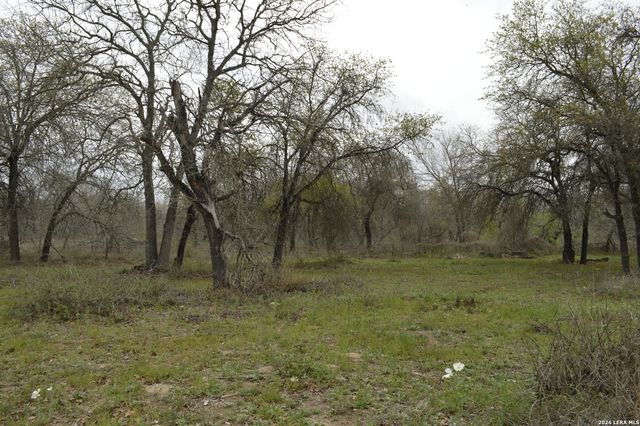 23030 Grand, Elmendorf, TX 78112