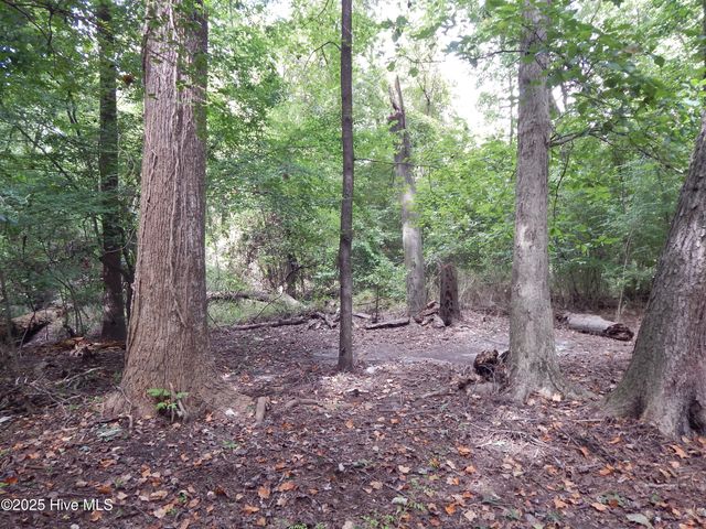112 Ridge Place, Greenville, NC 27834