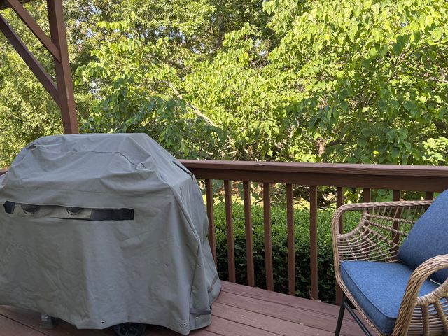 190 Blossom Valley, Branson, MO 65616