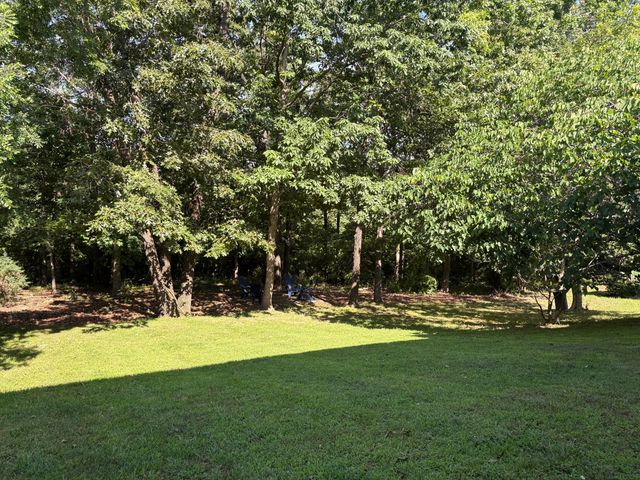 190 Blossom Valley, Branson, MO 65616